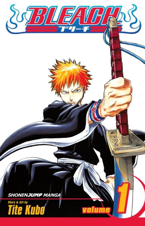 Bleach Cover Image