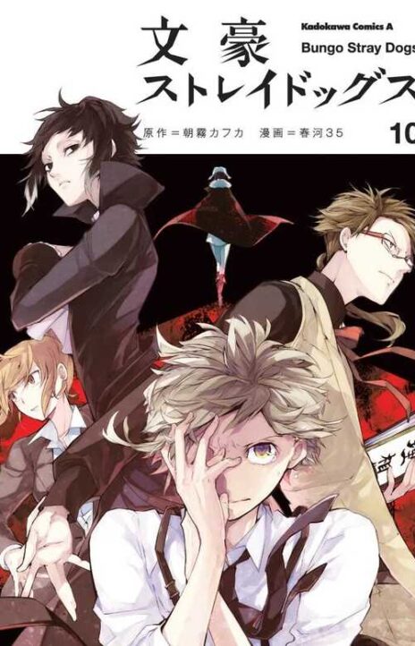 Bungou Stray Dogs Cover Image