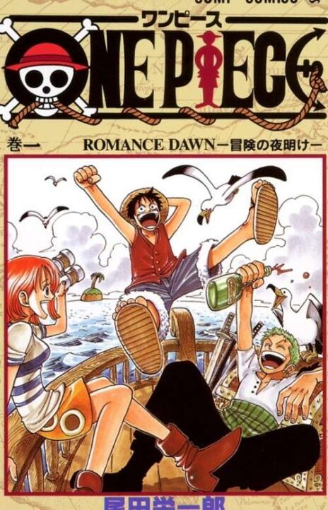 One Piece Cover Image