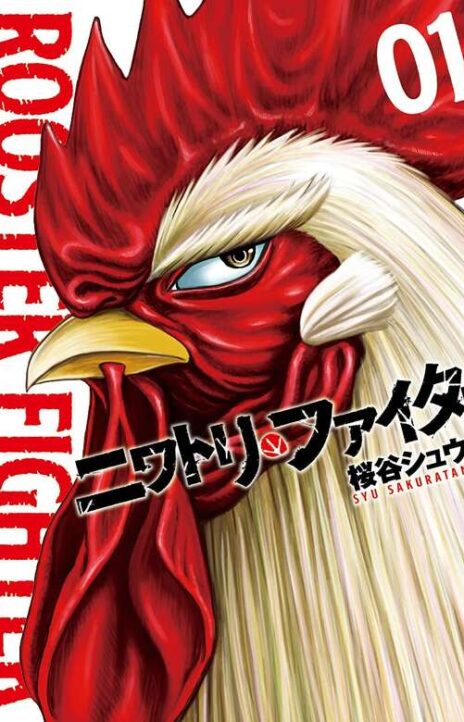 Rooster Fighter Cover Image